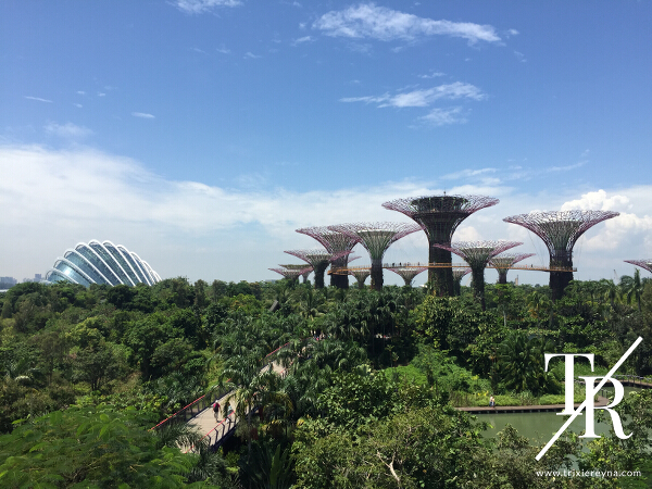 gardens by the bay 1