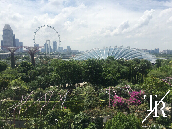 gardens by the bay
