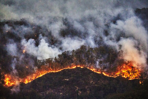 A forest fire rages. The occurrence of forest fires and other destructive natural phenomena has increased with the onset of climate change. photograph Andrew Merry _ Getty _ WWF
