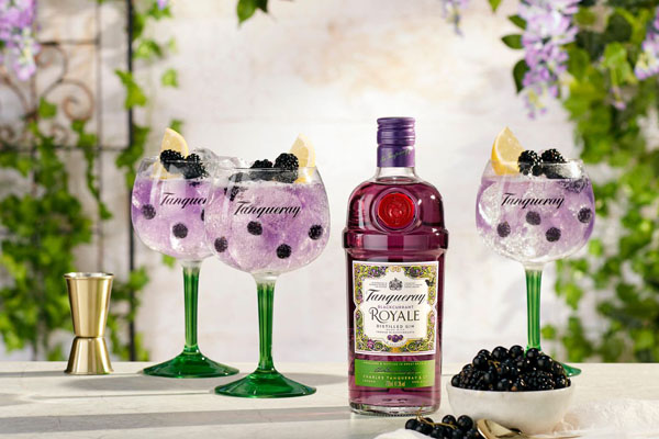 Tanqueray Blackcurrant Royale 05